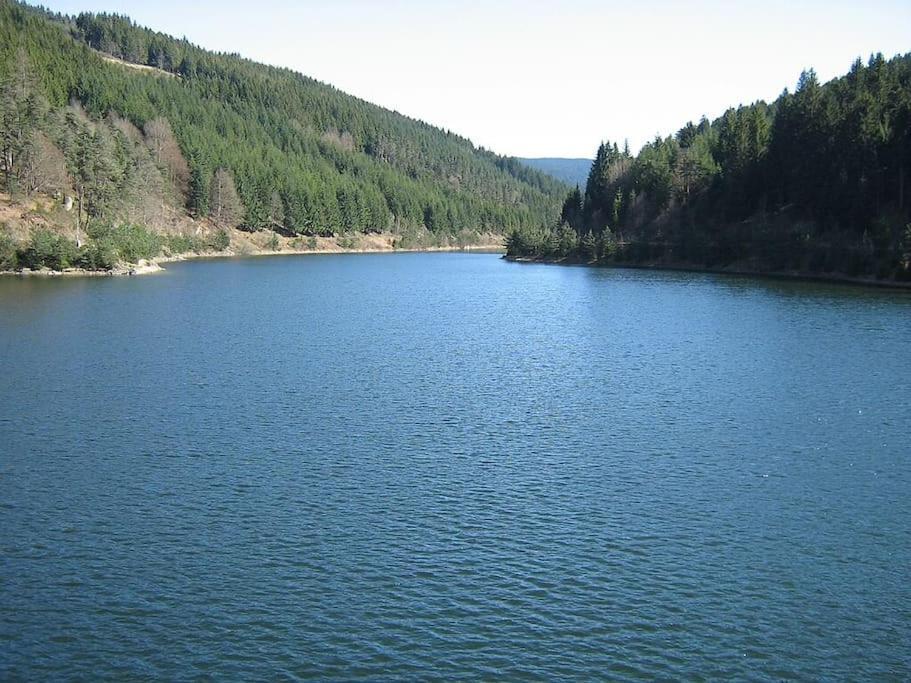 Apartament Le Repos Du Pilat Proche A 10 Min Saint Etienne Zewnętrze zdjęcie